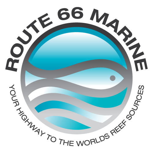 Route 66 Marine